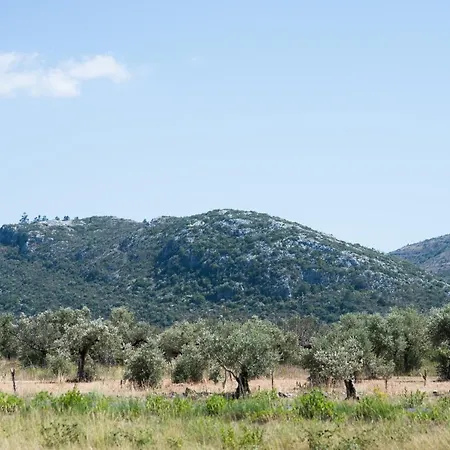 住宿加早餐酒店 Serra Serena