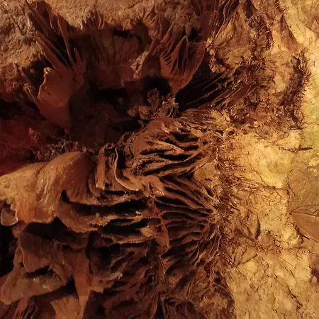 Couette-café Serra Serena