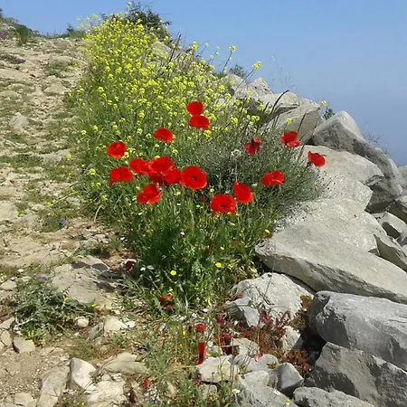 Couette-café Serra Serena