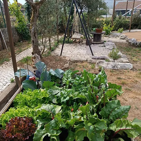 Serra Serena Couette-café